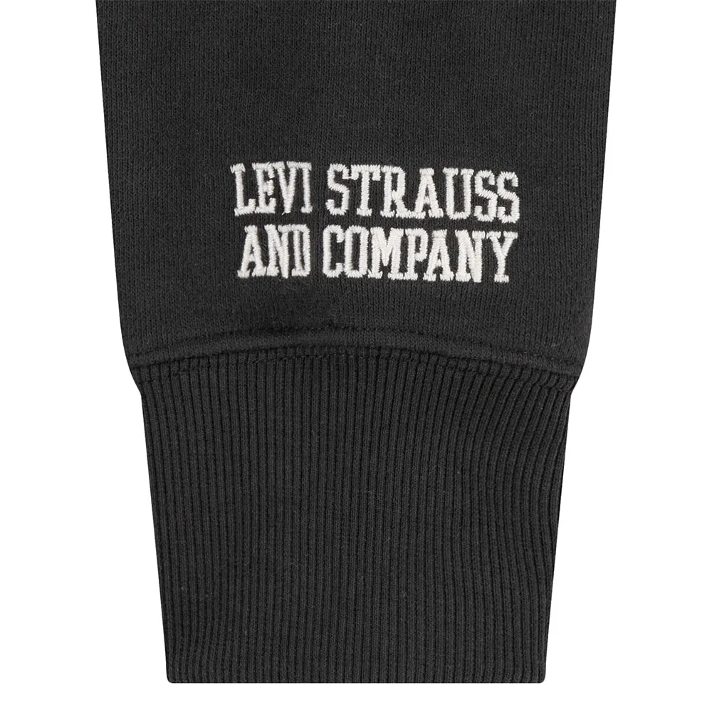 Levi's Relaxed Fit Colorblock Tröja Med Huva