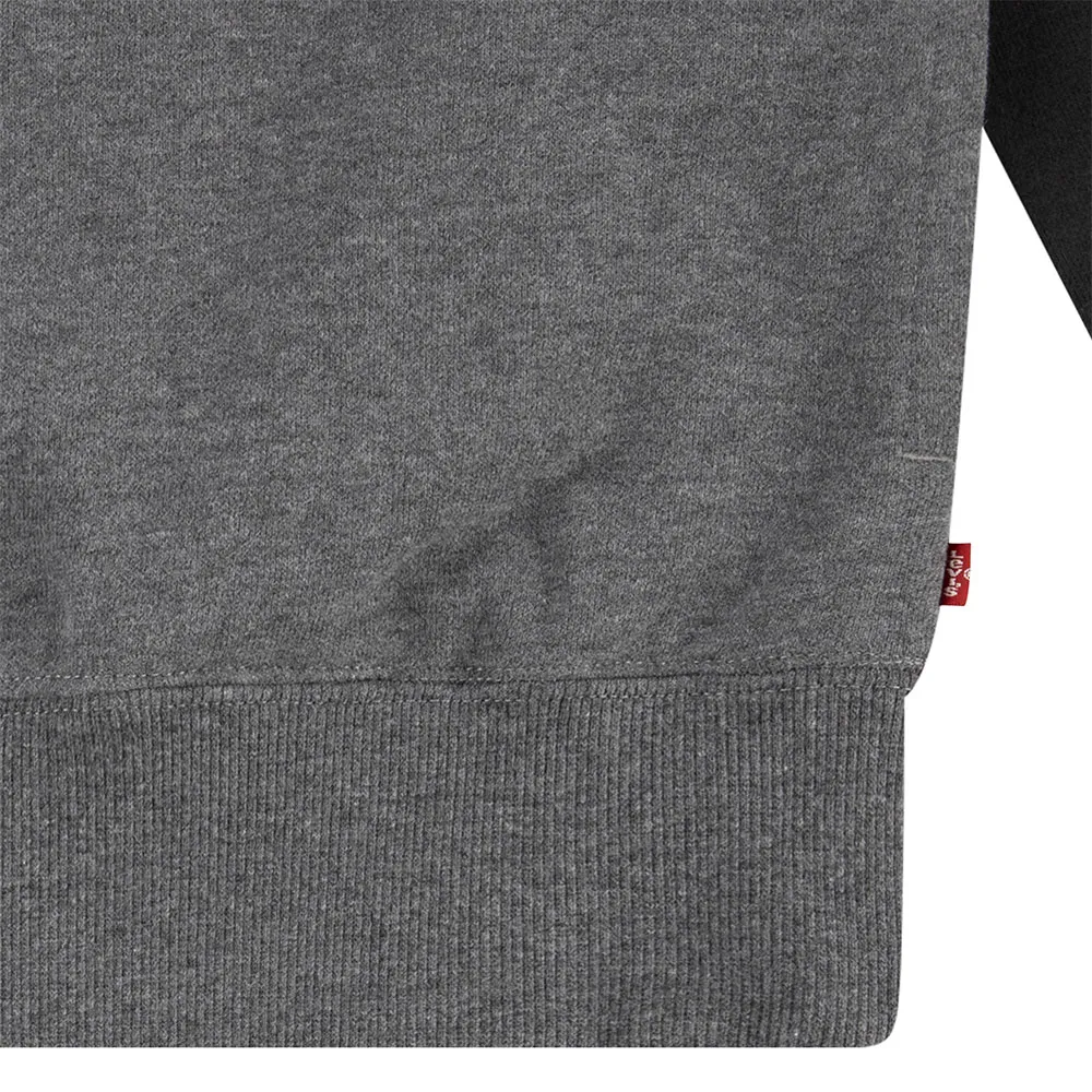 Levi's Relaxed Fit Colorblock Tröja Med Huva