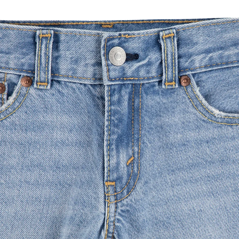 Levi's Skates Shorts