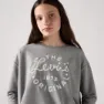 Levi's Western Bubble T-shirt Med Lång ärm