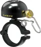 Black / gold