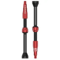 Lezyne Tubeless Ventiler