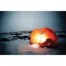 Lifesystems Ultralight Survival Shelter 2p Nödhärbärge, Orange, 2 Platser