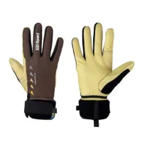 Lillsport Legend Gold Lillsport Legend Gold