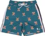 Lindberg Kids' Dexter Beach Shorts