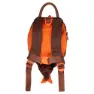 Littlelife Dinosaur 2l Ryggsäck, Red