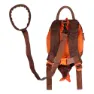 Littlelife Dinosaur 2l Ryggsäck, Red