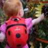 Littlelife Ladybird 2l Ryggsäck, Red