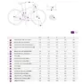 Liv Envi Advanced 1 105 Di2 Rd-r7150 2025 Racercykel