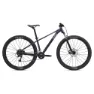 Liv Tempt 3 29´´ Acera Rd-m3020 2025 Mtb Cykel
