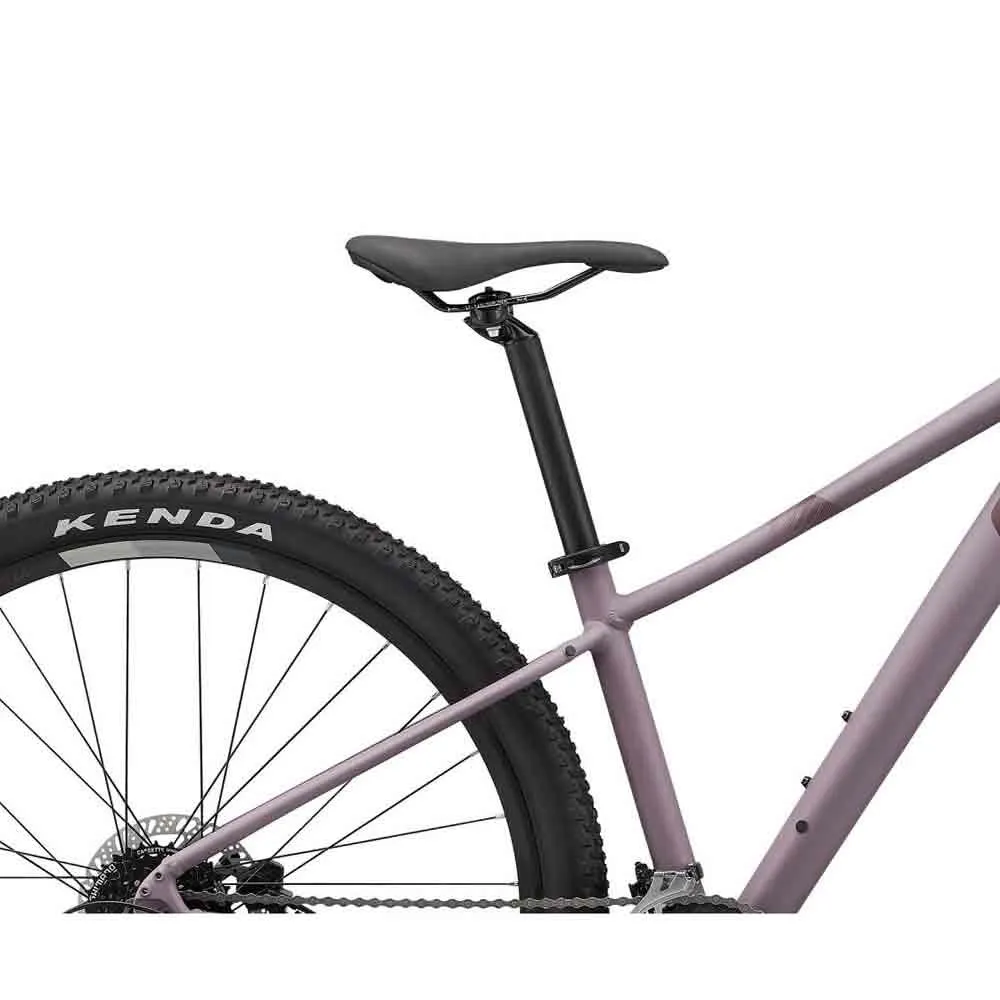 Liv Tempt 3 Ge 29´´ Alivio M3100 2022 Mtb Cykel, Purple ash, L