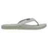 Lizard Way Flip-flops