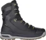 LOWA Men's Renegade Evo Ice Gore-Tex