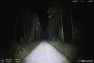 Lupine Wilma R 7 Pannlampa