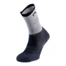 Charcoal / ice gray
