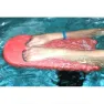 Malmsten Kickboard unisex