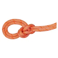 Mammut 9.8 Crag Classic Rope
