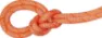 Orange-White 1