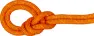 Mammut 9.8 Crag Dry Rope, Vibrant Orange-Boa, 50m