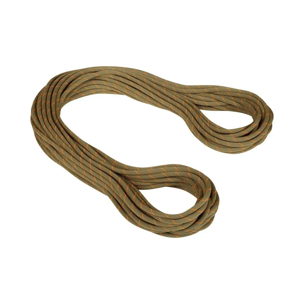 Mammut 9.9 Gym Workhorse Classic Rope