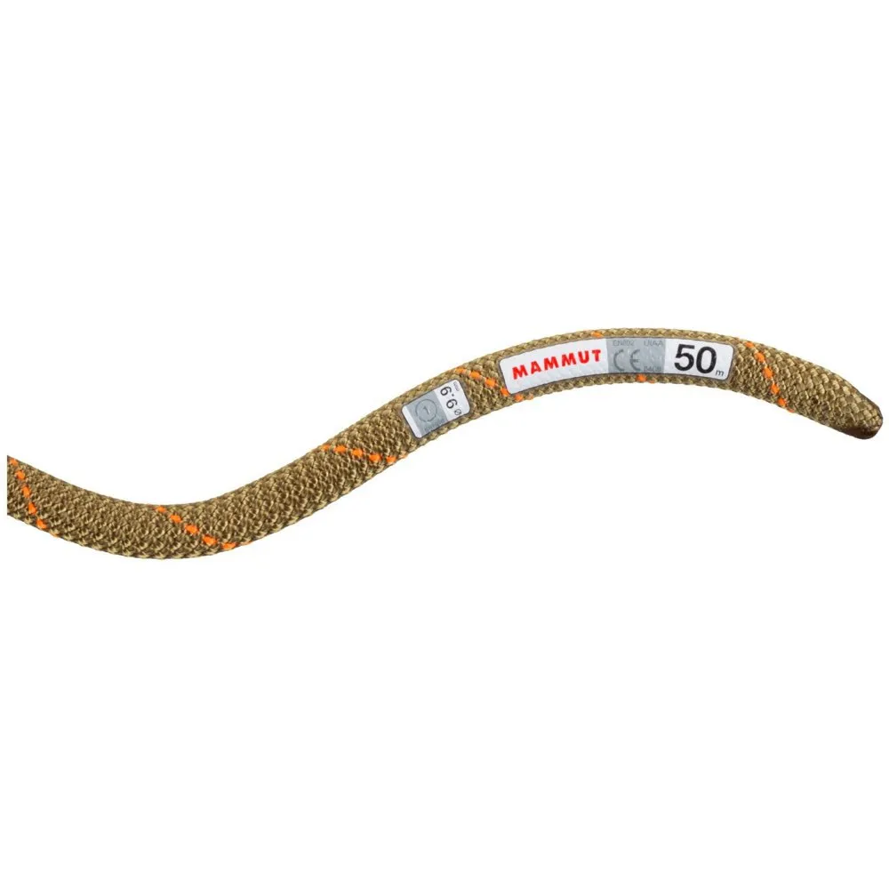 Mammut 9.9 Gym Workhorse Classic Rope