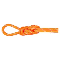Mammut Alpine 9.5 Mm Rep Mammut Alpine 9.5 Mm Rep