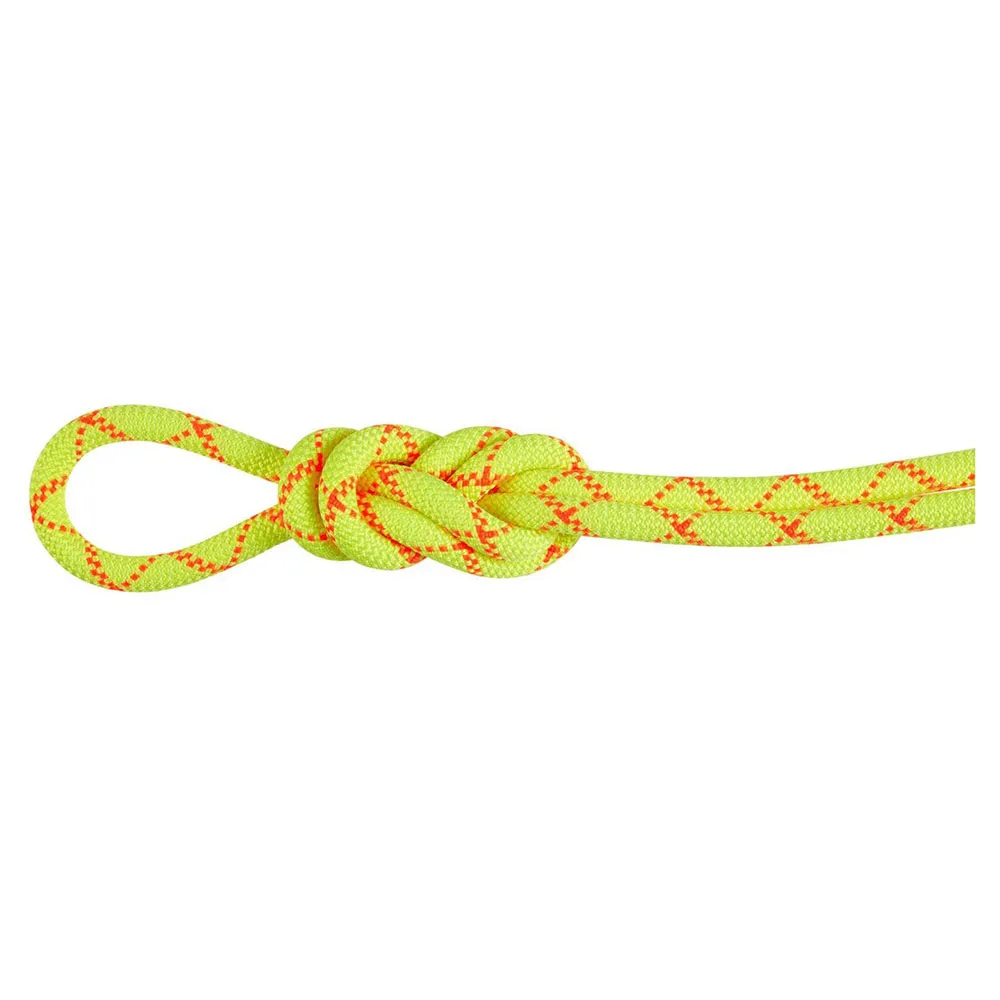 Mammut Alpine Core Protect 9.5 Mm Rep Mammut Alpine Core Protect 9.5 Mm Rep