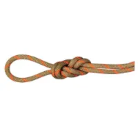 Mammut Alpine Dry 8 Mm Rep Mammut Alpine Dry 8 Mm Rep