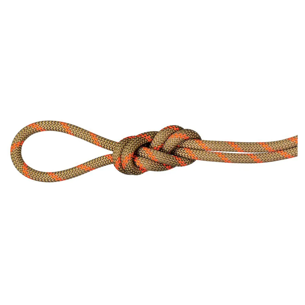 Mammut Alpine Dry 8 Mm Rep