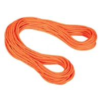 Mammut Alpine Dry 9.5 Mm Rep Mammut Alpine Dry 9.5 Mm Rep