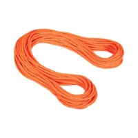 Mammut Alpine Dry 9.5 Mm Rep Mammut Alpine Dry 9.5 Mm Rep