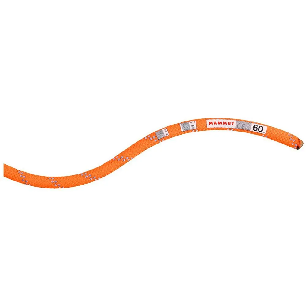 Mammut Alpine Dry 9.5 Mm Rep