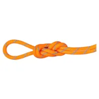 Mammut Alpine Sender Dry 8.7 Mm Rep