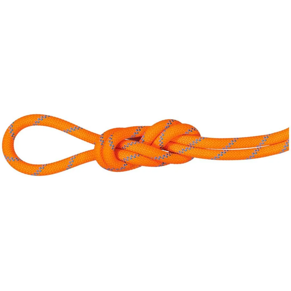 Mammut Alpine Sender Dry 8.7 Mm Rep