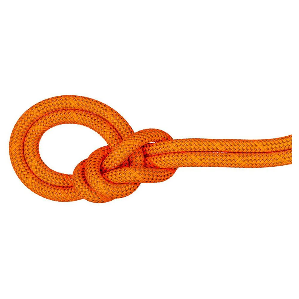 Mammut Crag 9.8 Mm Rep