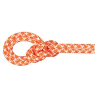 Mammut Crag Classic 9.5 Mm Rep