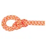 Vibrant orange / white