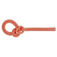 Mammut Crag Sender Dry 8.7 Mm Rep Mammut Crag Sender Dry 8.7 Mm Rep