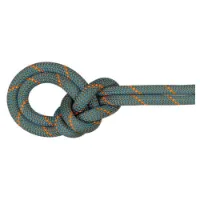 Mammut Crag Workhorse Dry 9.9 Mm Rep Mammut Crag Workhorse Dry 9.9 Mm Rep