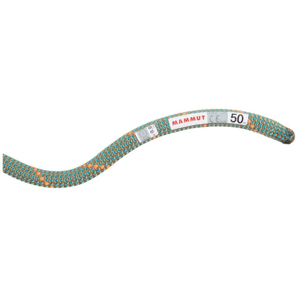 Mammut Crag Workhorse Dry 9.9 Mm Rep Mammut Crag Workhorse Dry 9.9 Mm Rep