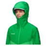 Mammut Crater Iv Hardshell Jacka