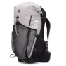 Alpine calamint / black