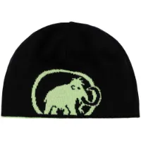 Mammut Logo Mössa