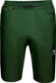 woods