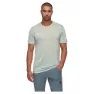 Silver sage melange 1