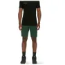 Mammut Zinal Hybrid Shorts