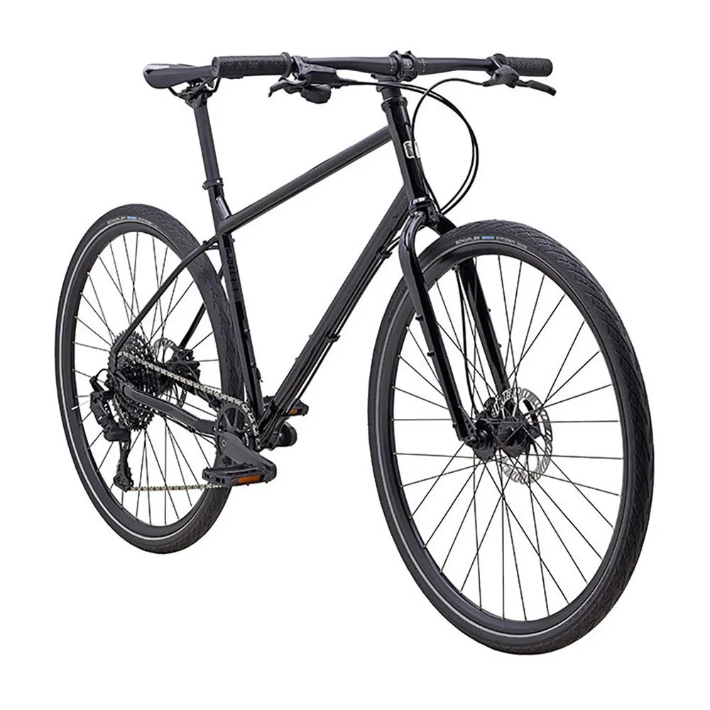Marin Muirwoods Advent 2023 Cykel