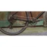 Marin Muirwoods Advent 2023 Cykel