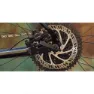 Marin Muirwoods Advent 2023 Cykel