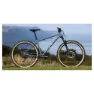 Marin Pine Mountain 1 29´´ 2024 Mtb Cykel, Grey, M